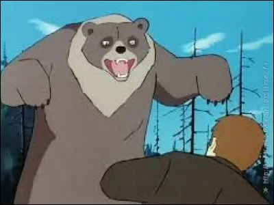 En Alaska, a-t-on le droit de réveiller un ours pour le photographier ?