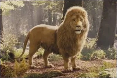 Dans quel Disney y a-t-il Aslan ?