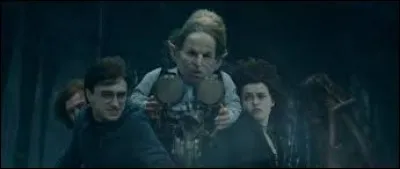 Dans quelle chambre forte de Gringotts Harry, Ron, Hermione et Gripsec vont-ils aller pour vérifier s'il n'y aurait pas un Horcruxe ?