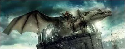 Comment Harry, Ron et Hermione se sont-ils échappés de Gringotts ?