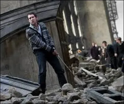 Qui a tué Nagini, le serpent-horcruxe de Voldemort ?