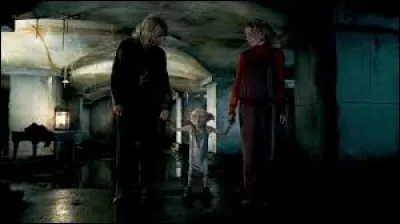 Qui étaient les prisonniers dans la cave du manoir des Malefoy ?