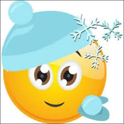 À l'aide de ce smiley, trouvez la saison !