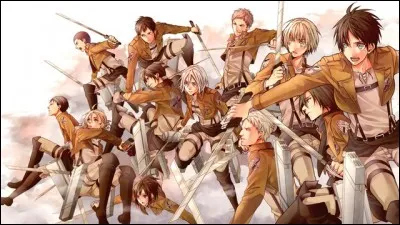 Qui est le plus grand (en taille) ?