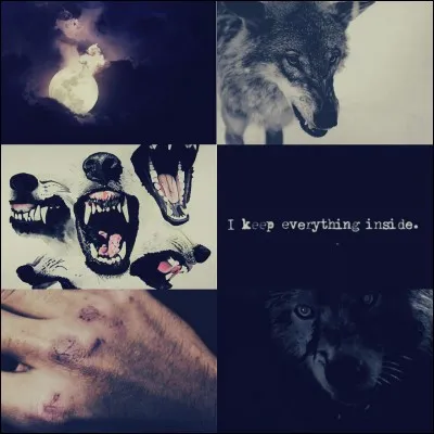 Il a fallu 12 heures pour transformer David Thewlis en loup-garou.