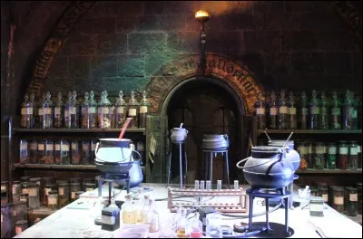 La salle de classe de Slughorn (HP6) fut avant tout le bureau du professeur Rogue (HP2) mais aussi la pièce gardée par Touffu (HP1).