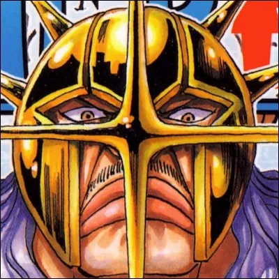 Dans l'équipage de Luffy, qui s'est battu contre Pika ?