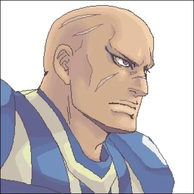 Le principal Lineman des Taiyo Sphinx :