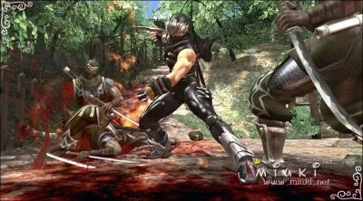 De quel jeu vido vient cette image ?