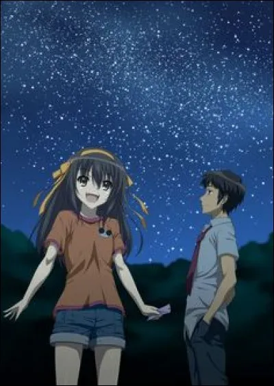 Dans quel manga se trouve ce couple ?