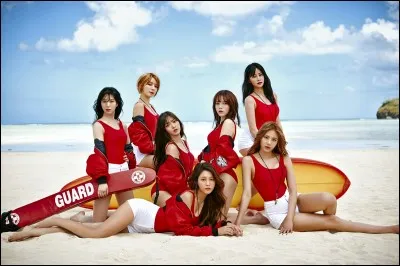 Combien de sous-unités ont les AOA ?