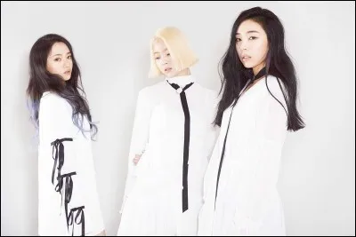 Combien de membres ont perdu les Ladies' Code ?