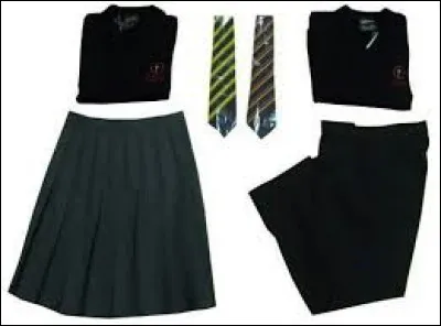 En France, jusqu'en 1968, certains établissements d'enseignement primaire et secondaire rendaient son port obligatoire. De couleurs différentes selon les institutions, c'était une manière de gommer les différences sociales. On portait alors :