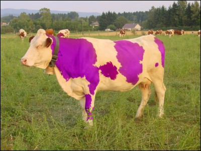 Cette vache violette est la mascotte d'une grande marque de chocolat, laquelle ?