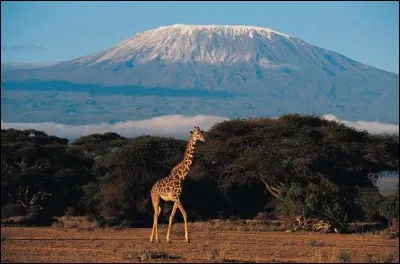 K - Le massif du "Kilimandjaro" culmine à 5 895 mètres avec le pic Uhuru, en Éthiopie.