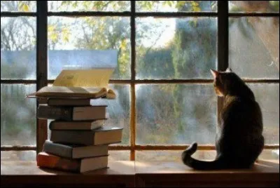 B - Un "bibliophile" a peur des livres.