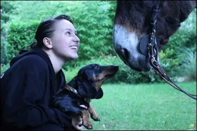 Comment s'appelle le chien de la famille ?