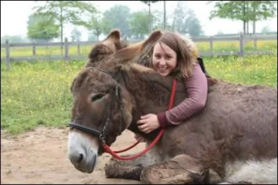 Quand Gribouille travaille-t-elle avec un mors ?
