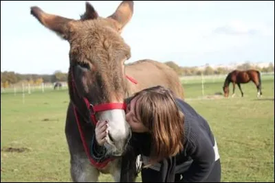 Quelle est la spécialité de Gribouille ?
