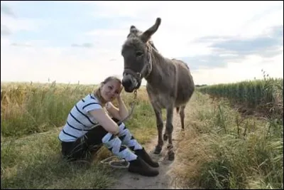 Et elles, comment s'appellent-elles ?