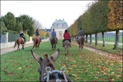 Où vivent Gribouille et Pépita ?