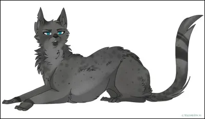 Quel chat a été assassiné par Feuille de Houx ?