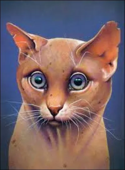 Quel est ce chat étrange qui donne des conseils à il de Geai ?