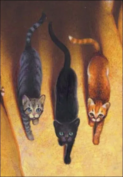 Quels sont ces trois chats ?