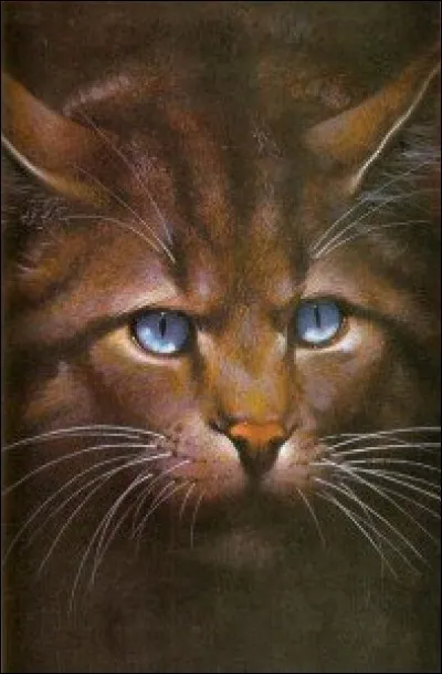 Quel est ce chat mauvais, ambitieux, et ayant une sur guérisseuse ?