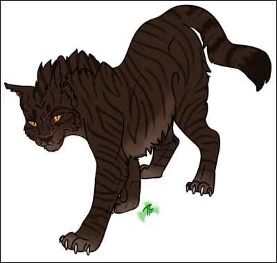 Quel est le chat de la Forêt sombre, fils de Croc Jaune ?