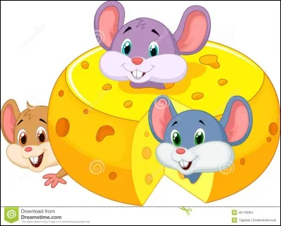 Petite bécassine de marais !