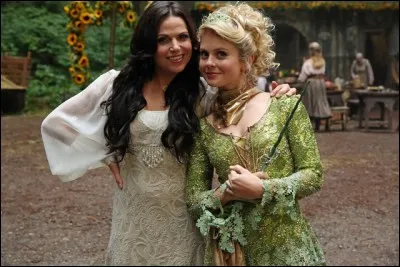 Quelle est la monnaie dans la forêt enchantée ?