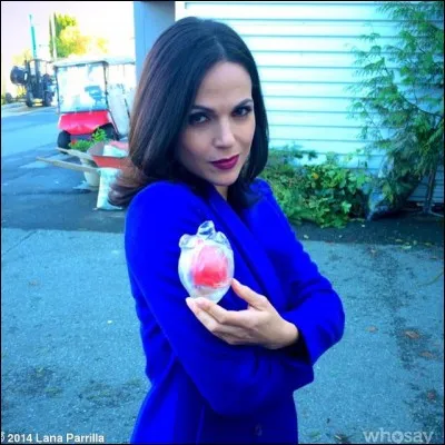 Qui occupe le château de Regina ?