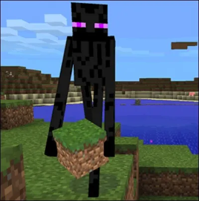 Que peut faire l'Enderman ?