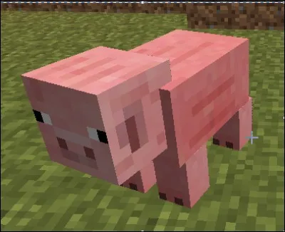 Avec quoi peut-on monter le cochon en le dirigeant ?