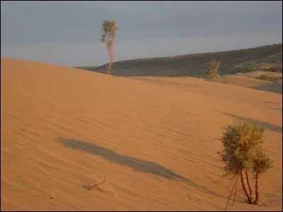 Lequel de ces déserts couvre 80% de la surface du Tukménistan ?