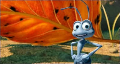 Comment s'appelle cet insecte ?