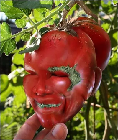 Communément appelé tache de rousseur !