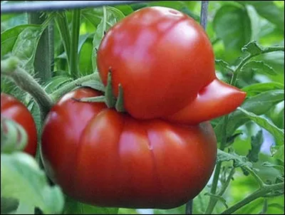 Adjectif, calmante et adoucissante !