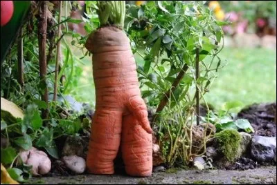 Prend les commandes !