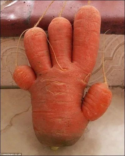 Elle l'a aimé toute la nuit son ...