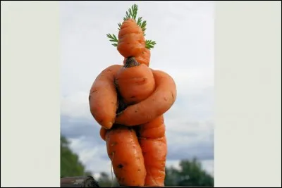 Servile et faux-cul !