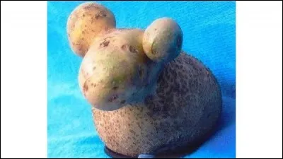 Loi hébraïque, qui obligeait un homme à épouser la veuve de son frère, si celui-ci était mort sans héritier !