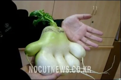 Souci de respecter la loi, sans concessions !