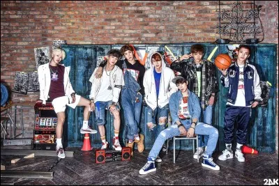 Comment se nomme ce groupe ?