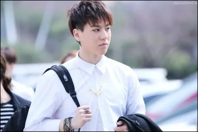 De quel groupe fait-il partie ?