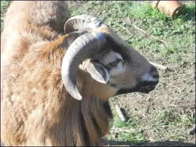 Allez c'est le dernier !