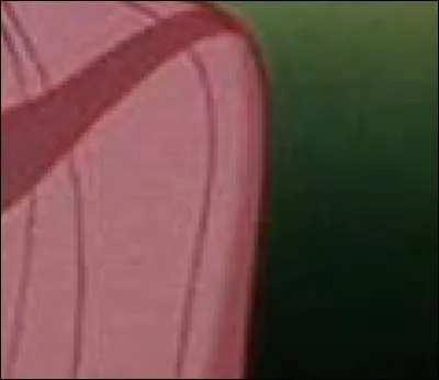 Qui porte cette robe ?