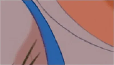 Qui porte cette robe ?