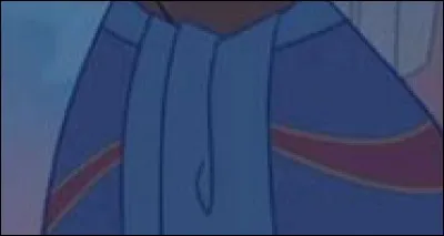 Qui porte cette robe ?